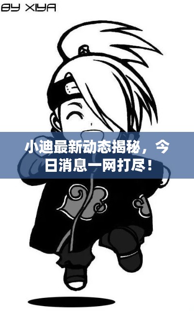 小迪最新动态揭秘，今日消息一网打尽！