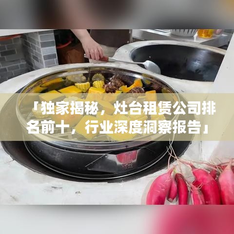 「独家揭秘，灶台租赁公司排名前十，行业深度洞察报告」