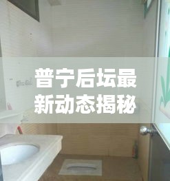 普宁后坛最新动态揭秘，今日消息一网打尽