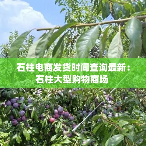 石柱电商发货时间查询最新：石柱大型购物商场 