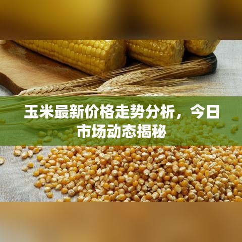 不知所云 第2页