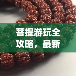 菩提游玩全攻略，最新秘籍一网打尽！