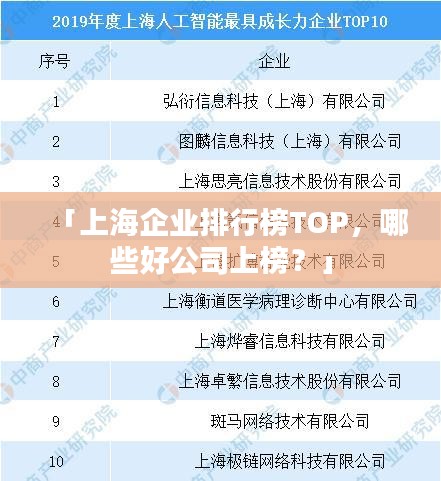 「上海企业排行榜TOP，哪些好公司上榜？」