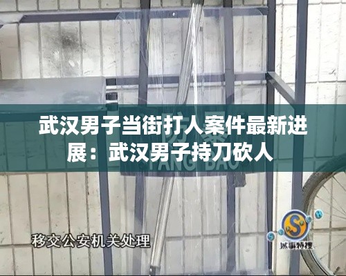 武汉男子当街打人案件最新进展：武汉男子持刀砍人 