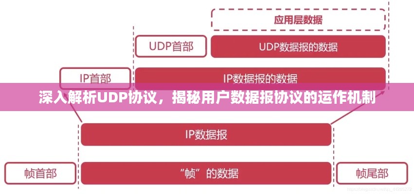 深入解析UDP协议，揭秘用户数据报协议的运作机制