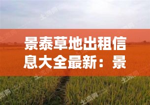 景泰草地出租信息大全最新：景泰地址 