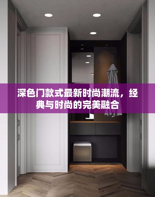 深色门款式最新时尚潮流，经典与时尚的完美融合
