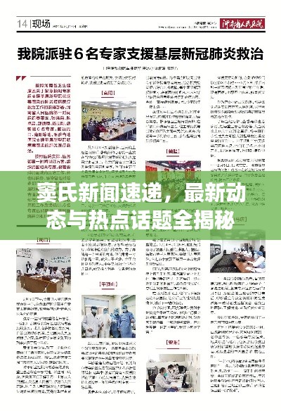 窦氏新闻速递，最新动态与热点话题全揭秘