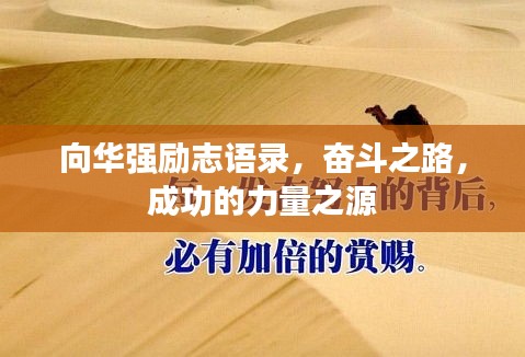 向华强励志语录，奋斗之路，成功的力量之源