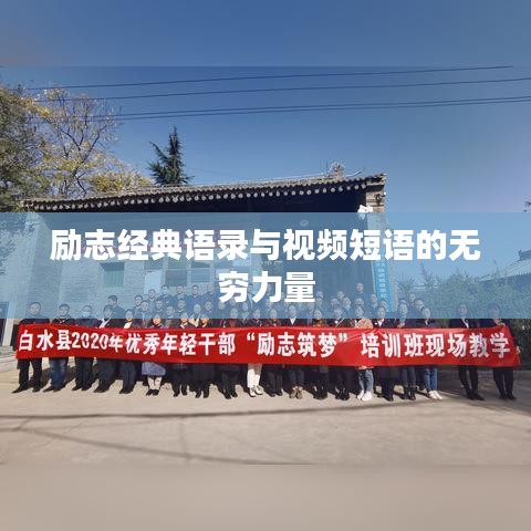东张西望 第2页