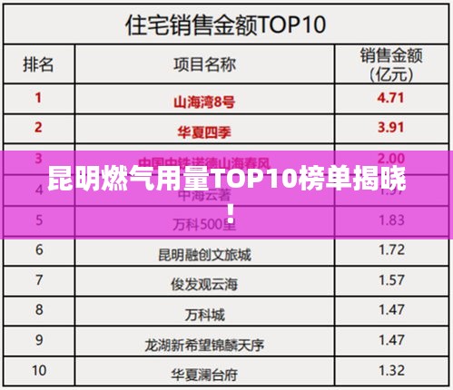 昆明燃气用量TOP10榜单揭晓！