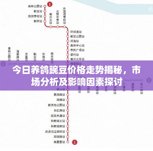 今日养鸽豌豆价格走势揭秘，市场分析及影响因素探讨