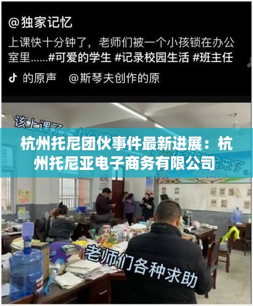 杭州托尼团伙事件最新进展：杭州托尼亚电子商务有限公司 