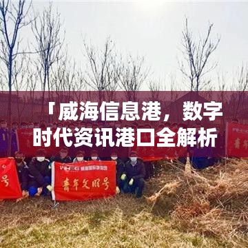 「威海信息港，数字时代资讯港口全解析」