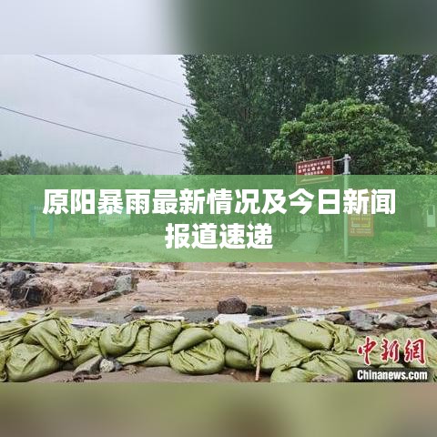 原阳暴雨最新情况及今日新闻报道速递