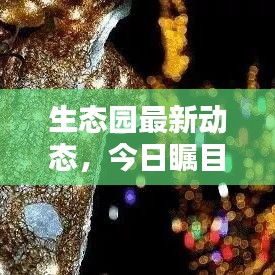 生态园最新动态，今日瞩目消息全解析