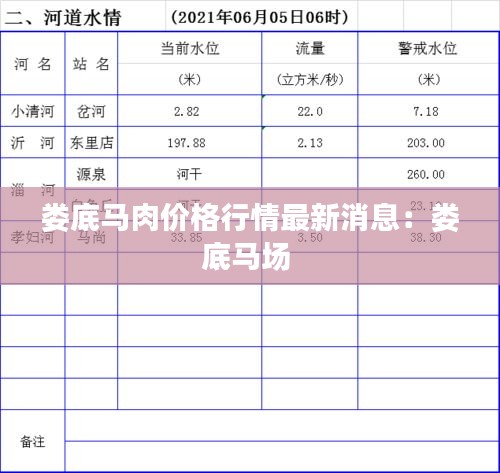 娄底马肉价格行情最新消息：娄底马场 