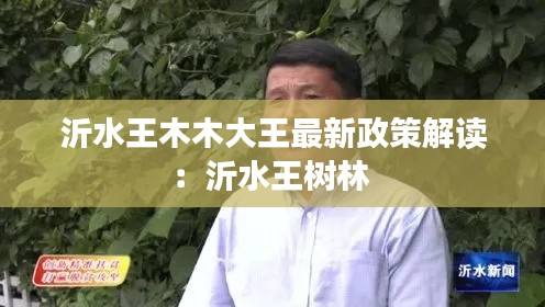 沂水王木木大王最新政策解读：沂水王树林 