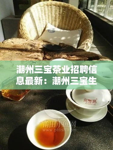 望其项背 第3页