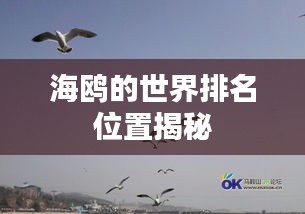 漫不经心 第2页