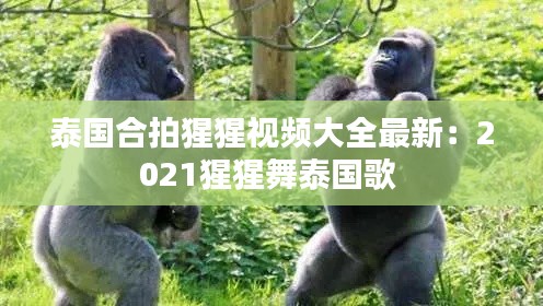 泰国合拍猩猩视频大全最新：2021猩猩舞泰国歌 