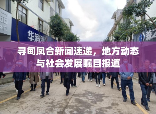寻甸凤合新闻速递，地方动态与社会发展瞩目报道
