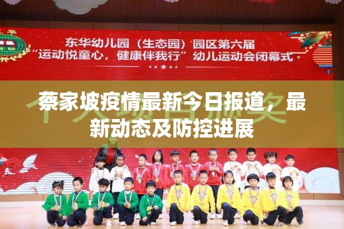 蔡家坡疫情最新今日报道，最新动态及防控进展