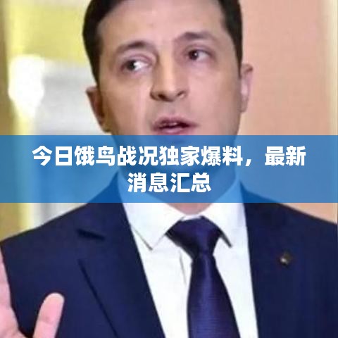 今日饿鸟战况独家爆料，最新消息汇总