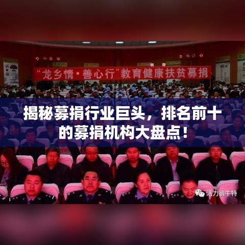 揭秘募捐行业巨头，排名前十的募捐机构大盘点！