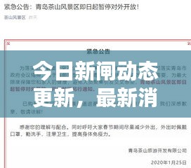 今日新闸动态更新，最新消息汇总