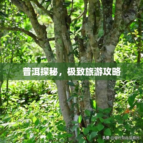 夜以继日 第2页