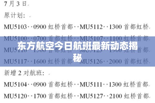东方航空今日航班最新动态揭秘
