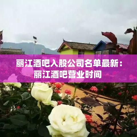 丽江酒吧入股公司名单最新：丽江酒吧营业时间 