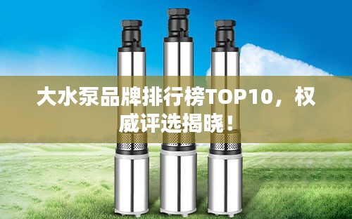 龙飞九五 第2页