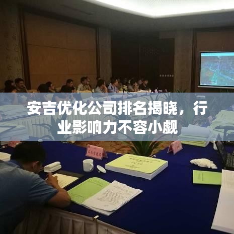 安吉优化公司排名揭晓，行业影响力不容小觑