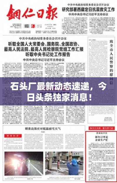 石头厂最新动态速递，今日头条独家消息！