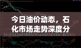 今日油价动态，石化市场走势深度分析与预测