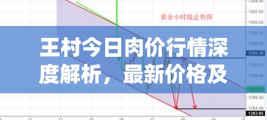 王村今日肉价行情深度解析，最新价格及走势分析