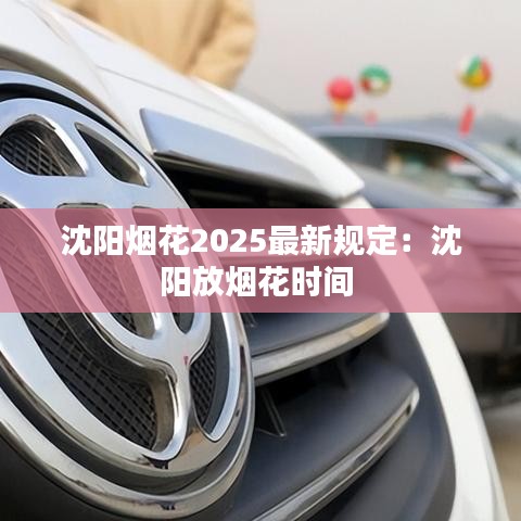 沈阳烟花2025最新规定：沈阳放烟花时间 
