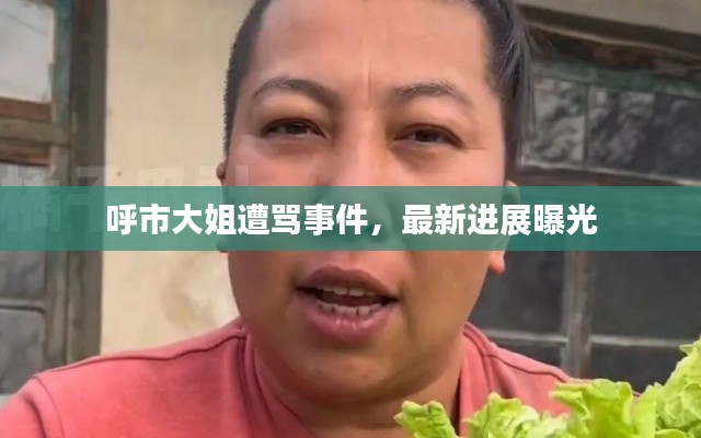 呼市大姐遭骂事件，最新进展曝光