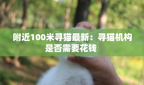 附近100米寻猫最新：寻猫机构是否需要花钱 