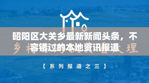 昭阳区大关乡最新新闻头条，不容错过的本地资讯报道