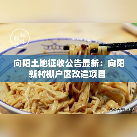 向阳土地征收公告最新：向阳新村棚户区改造项目 