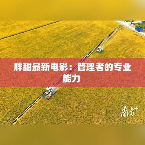 胖甜最新电影：管理者的专业能力 