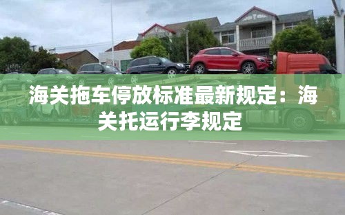 海关拖车停放标准最新规定：海关托运行李规定 