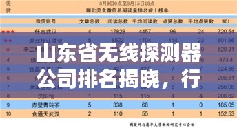 山东省无线探测器公司排名揭晓，行业影响力榜单揭秘