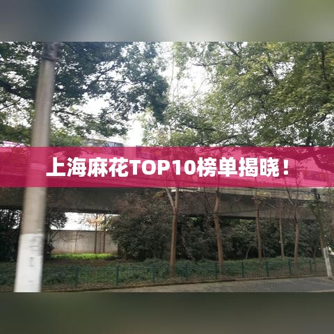 上海麻花TOP10榜单揭晓！
