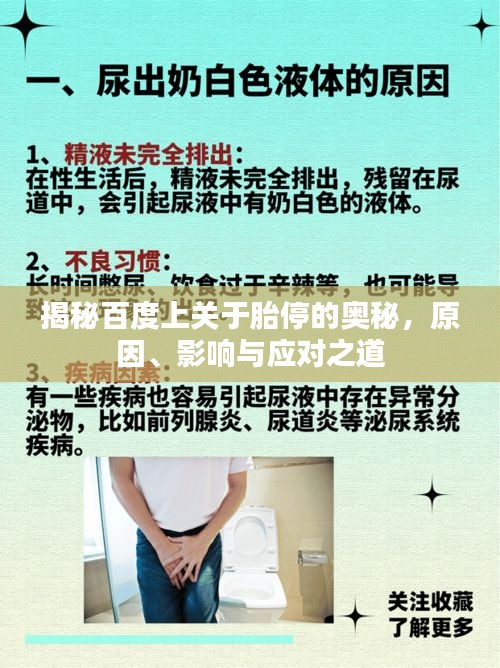 揭秘百度上关于胎停的奥秘，原因、影响与应对之道