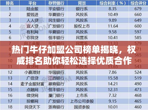 热门牛仔加盟公司榜单揭晓，权威排名助你轻松选择优质合作伙伴！