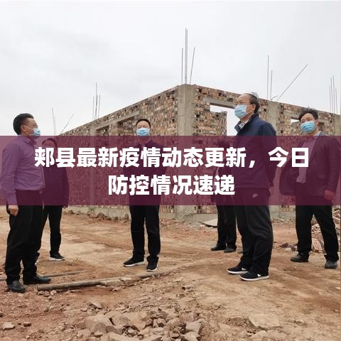 郏县最新疫情动态更新，今日防控情况速递